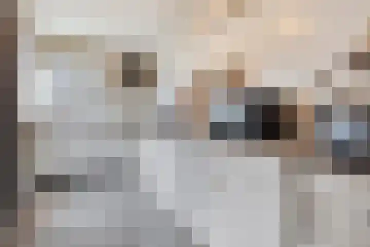 Johan van Willigenstraat 23 Ravenstein thumbnail 14