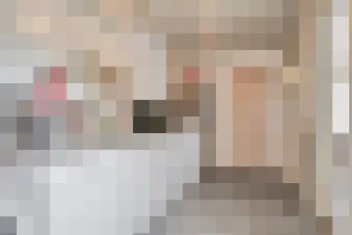 Johan van Willigenstraat 23 Ravenstein thumbnail 15