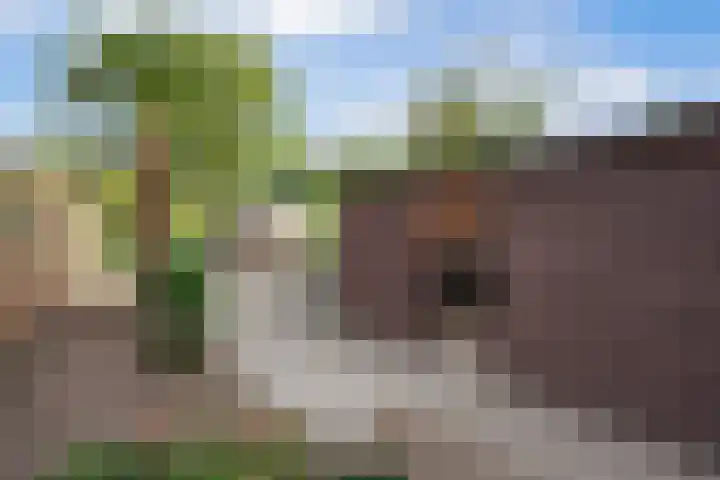 Johan van Willigenstraat 23 Ravenstein thumbnail 30