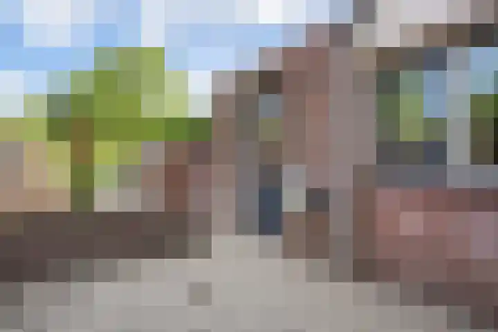 Johan van Willigenstraat 23 Ravenstein thumbnail 32