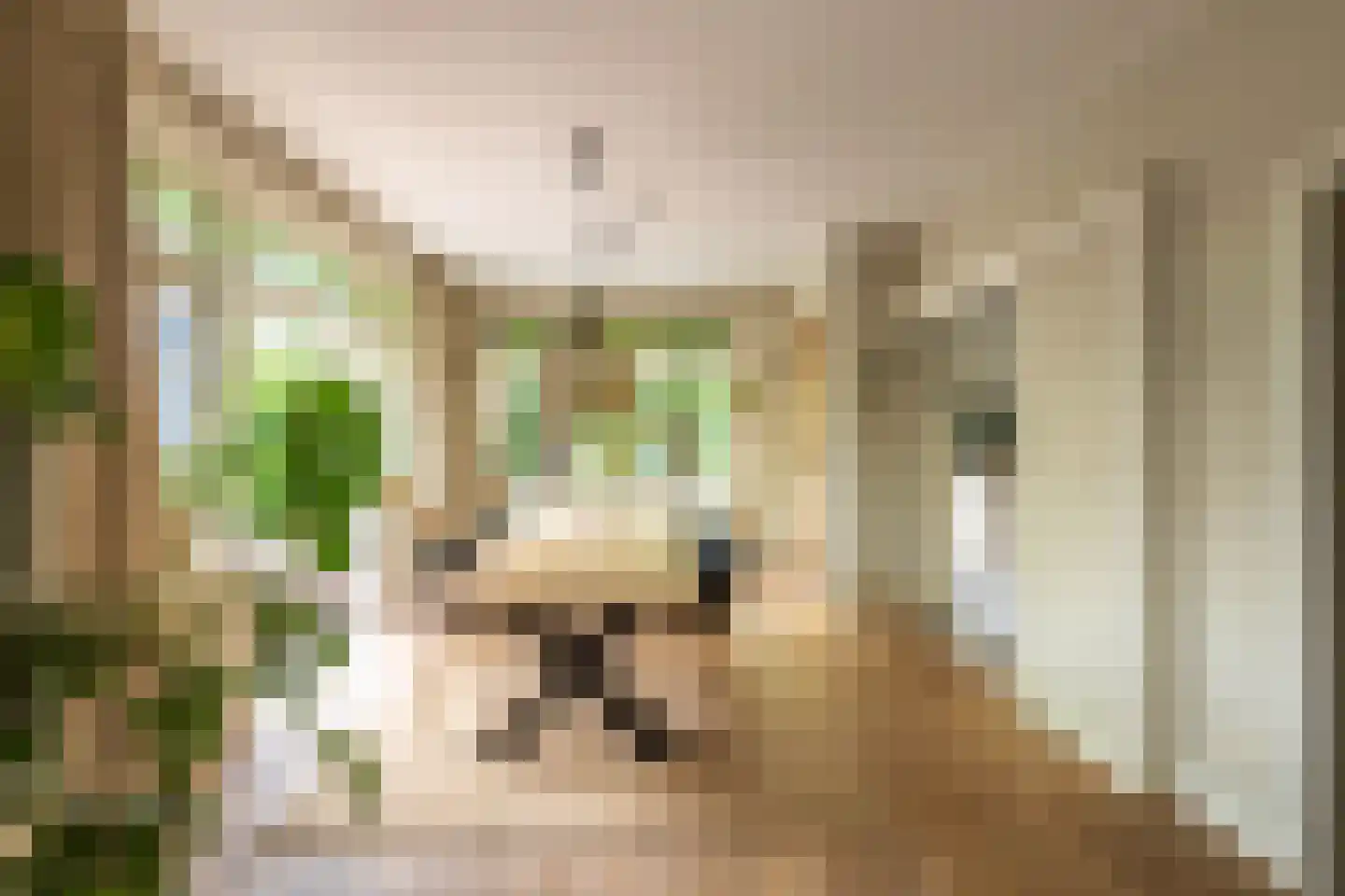Johan Verhulstweg 33 Bloemendaal thumbnail 12