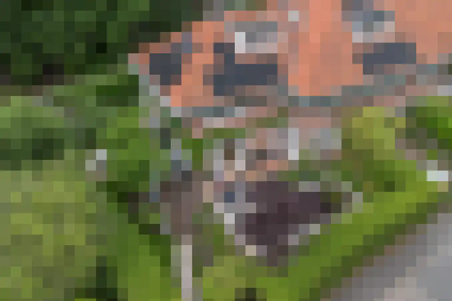 Johan Verhulstweg 33 Bloemendaal foto 2