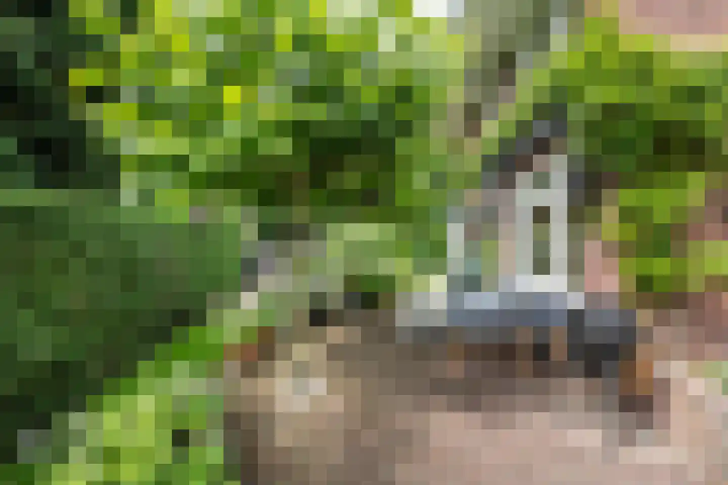 Johan Verhulstweg 33 Bloemendaal thumbnail 21