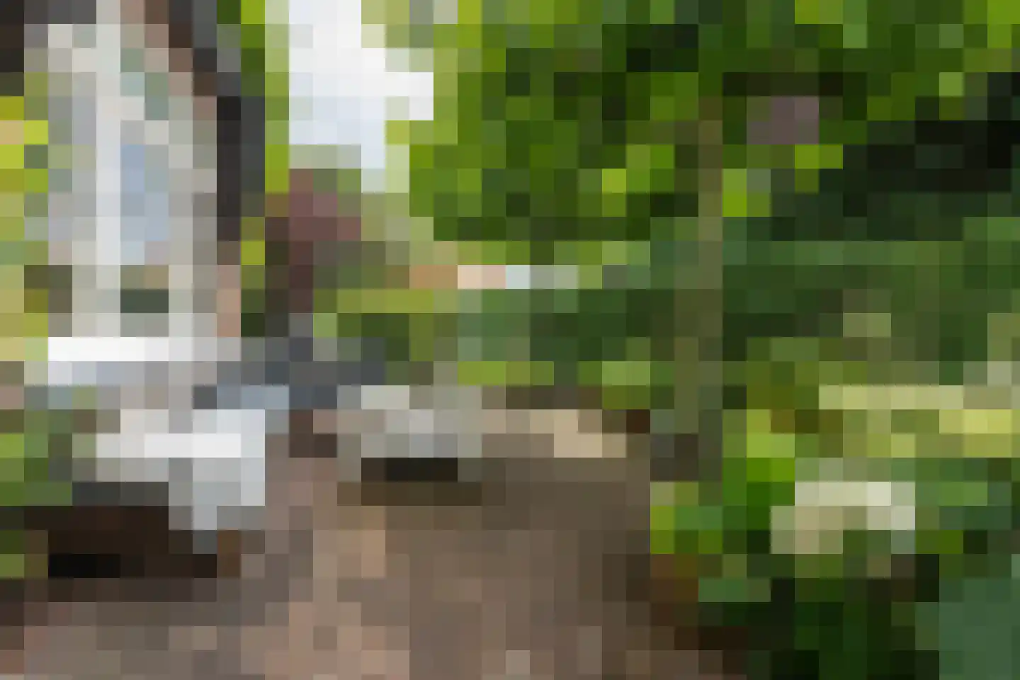 Johan Verhulstweg 33 Bloemendaal thumbnail 22