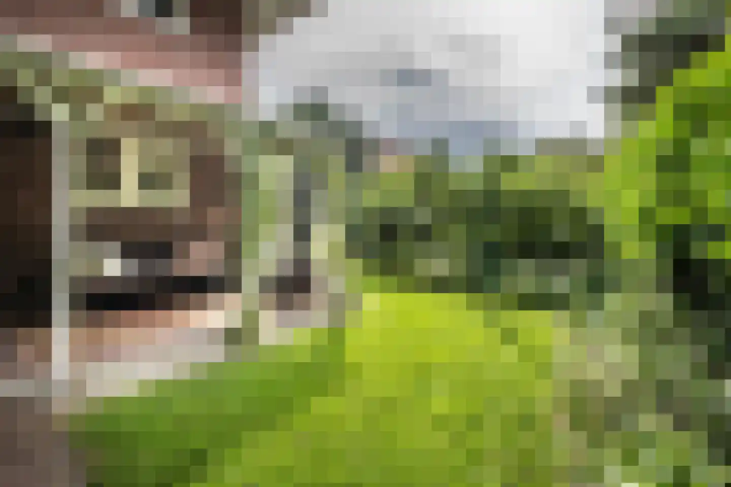 Johan Verhulstweg 33 Bloemendaal thumbnail 26