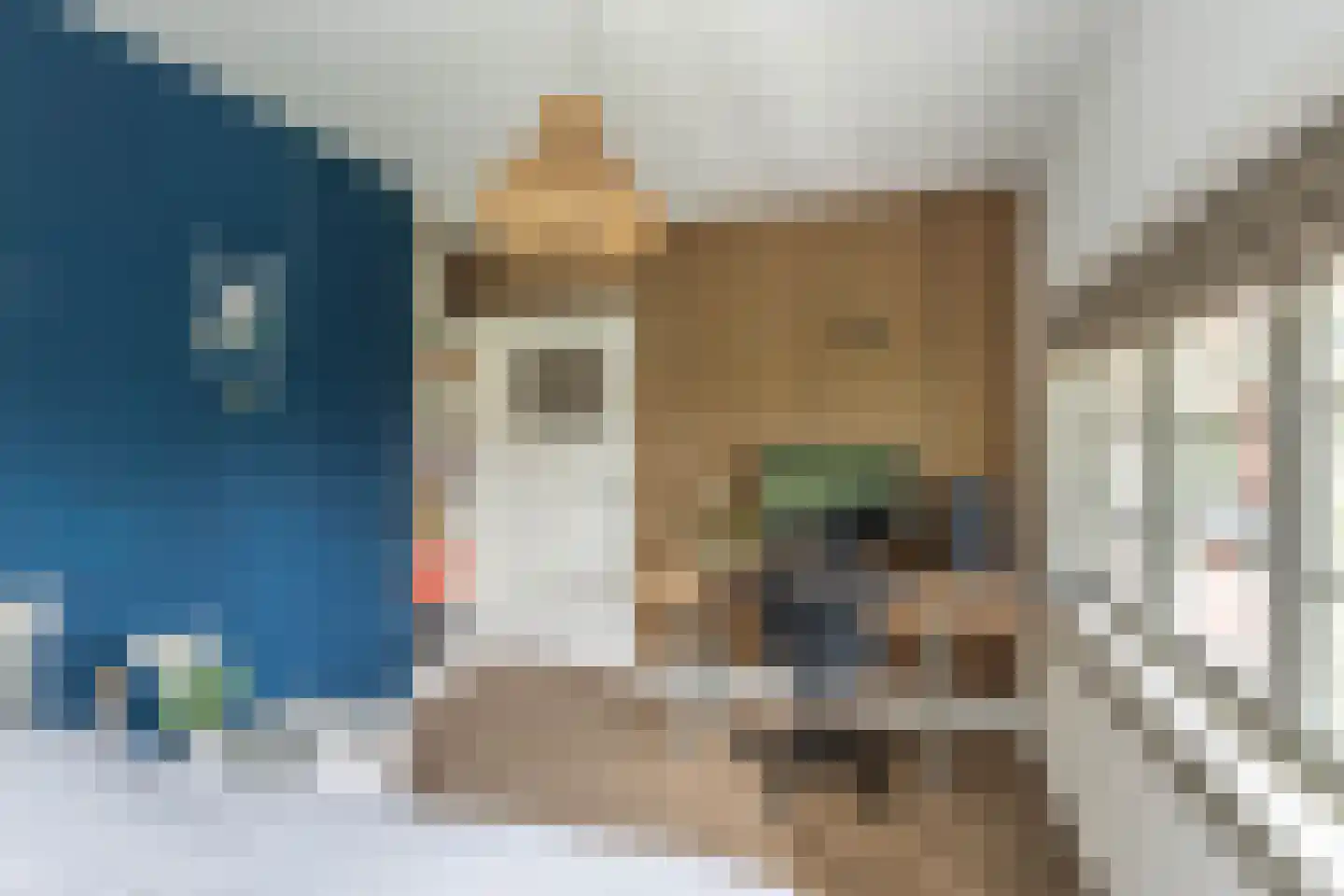 Johan Verhulstweg 33 Bloemendaal thumbnail 35