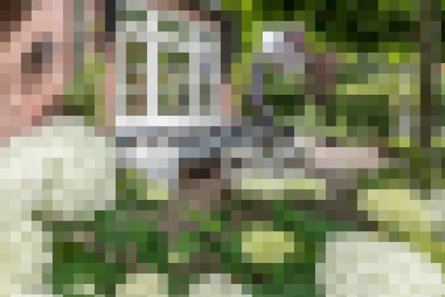 Johan Verhulstweg 33 Bloemendaal thumbnail 7