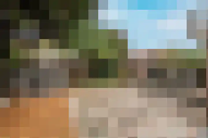 Johan Verhulstweg 34 Bloemendaal thumbnail 16