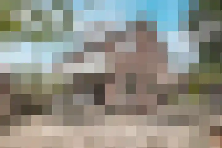 Johan Verhulstweg 34 Bloemendaal thumbnail 18