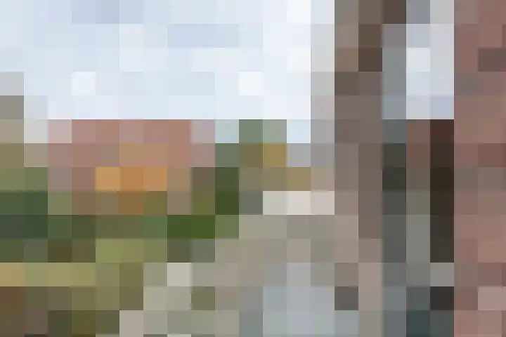 Johan Verhulstweg 34 Bloemendaal thumbnail 24