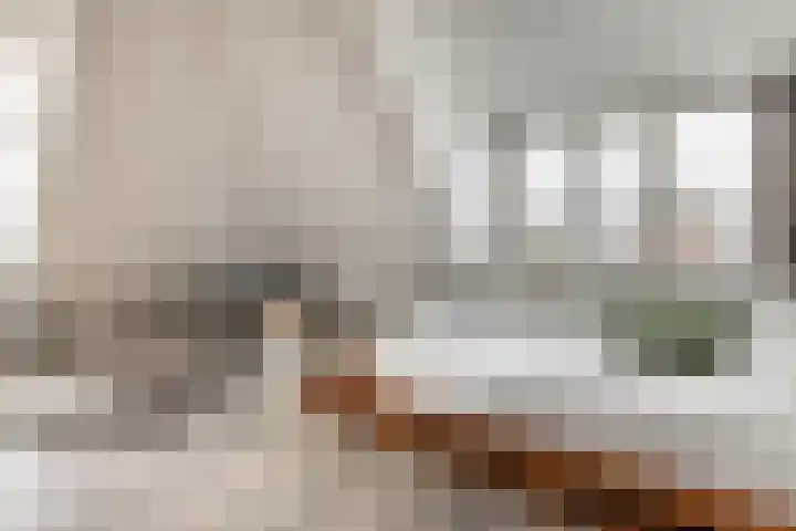 Johan Verhulstweg 34 Bloemendaal thumbnail 33