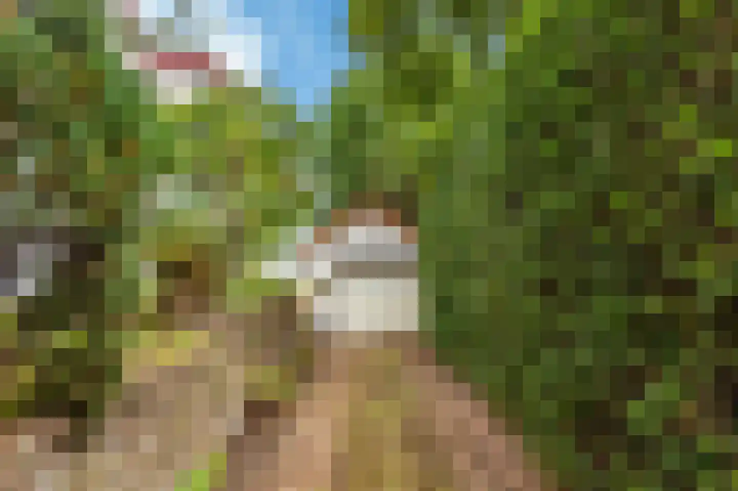 Johan Verhulstweg 54 Bloemendaal thumbnail 29