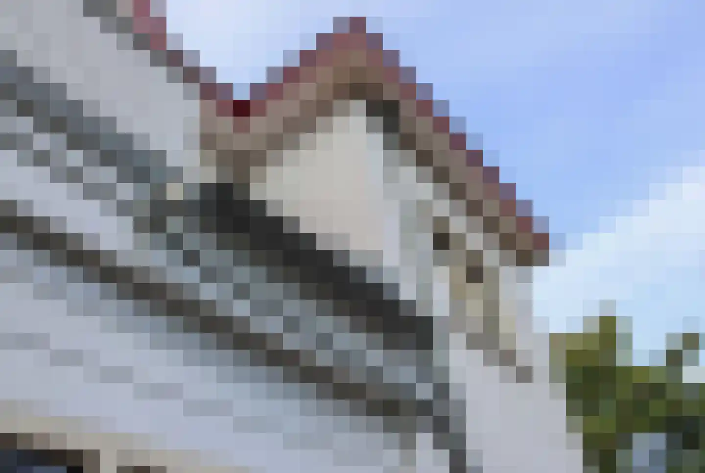 Johan Verhulstweg 54 Bloemendaal thumbnail 33