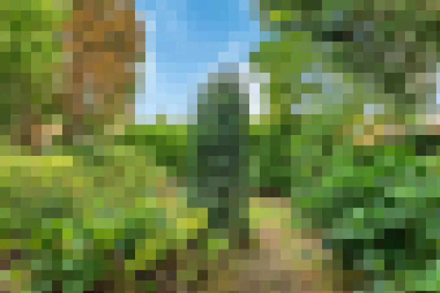 Johan Verhulstweg 54 Bloemendaal thumbnail 35