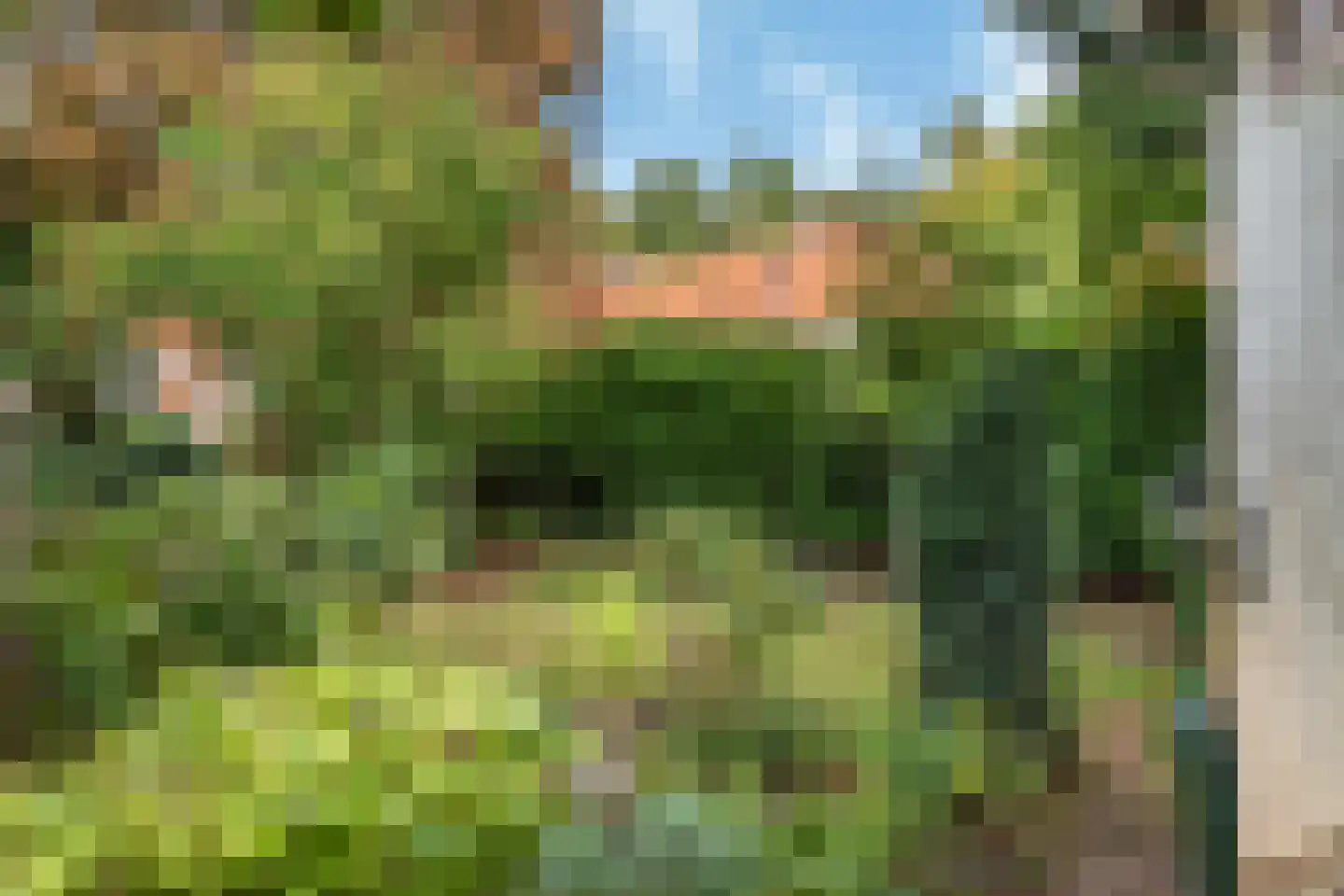 Johan Verhulstweg 54 Bloemendaal thumbnail 36