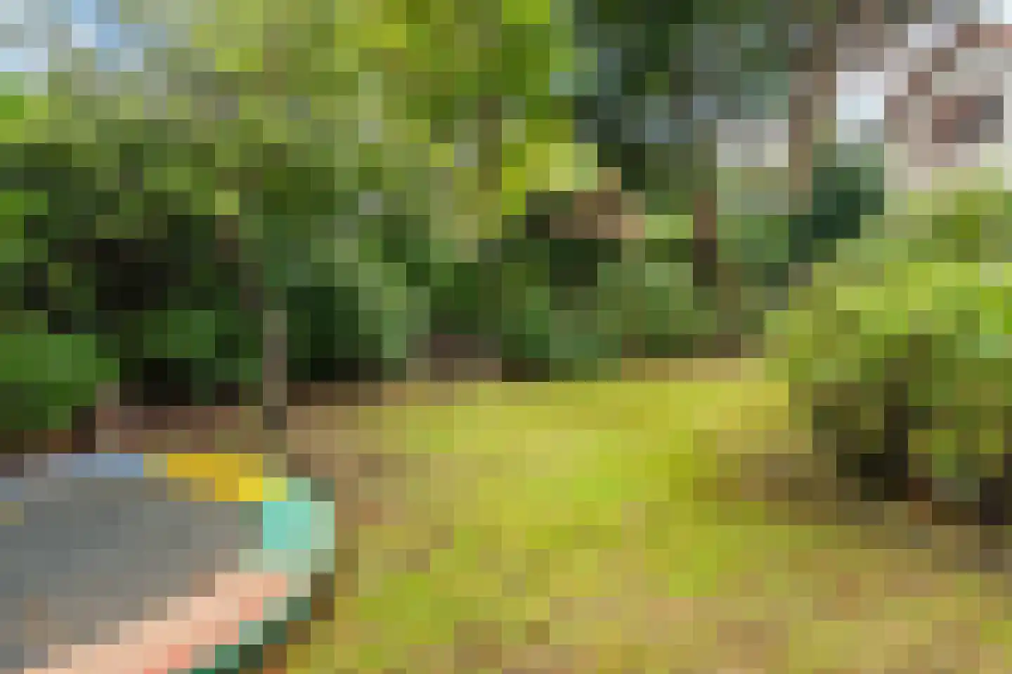 Johan Verhulstweg 54 Bloemendaal thumbnail 39