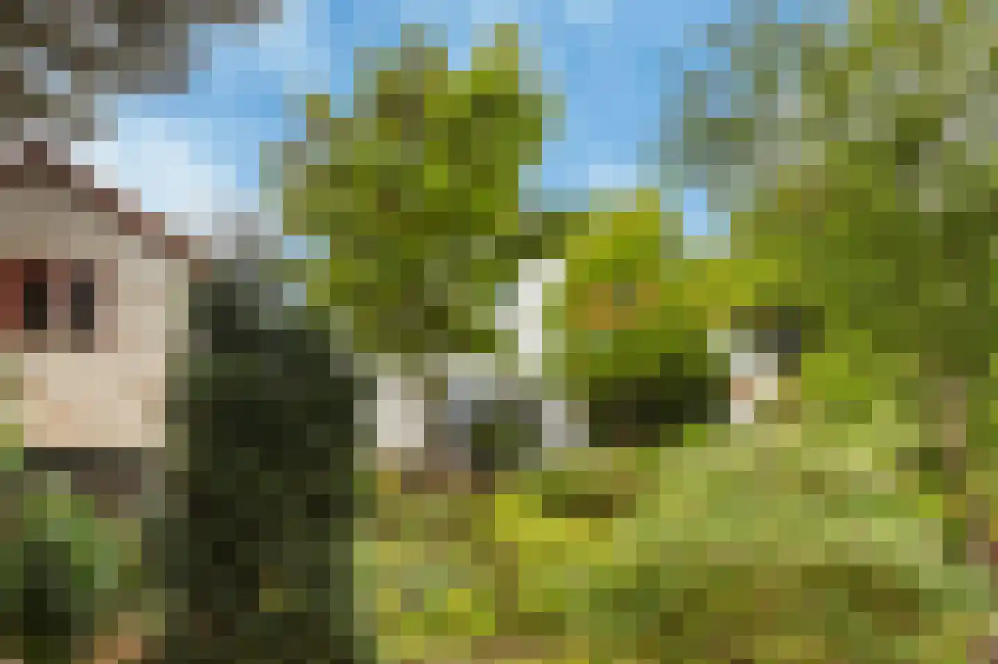 Johan Verhulstweg 54 Bloemendaal thumbnail 40