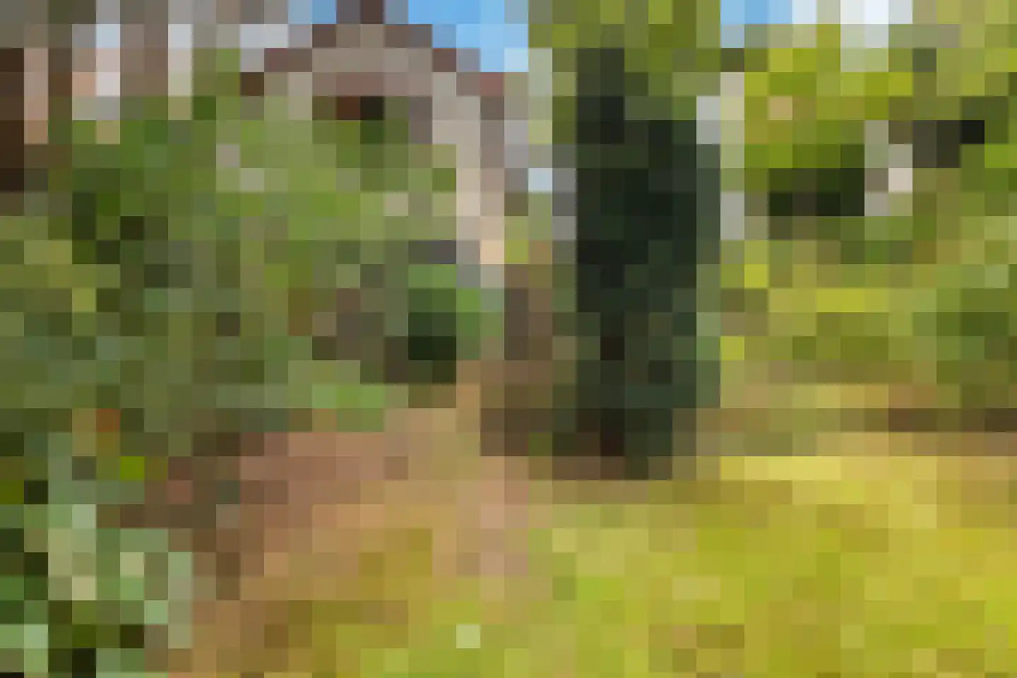 Johan Verhulstweg 54 Bloemendaal thumbnail 41