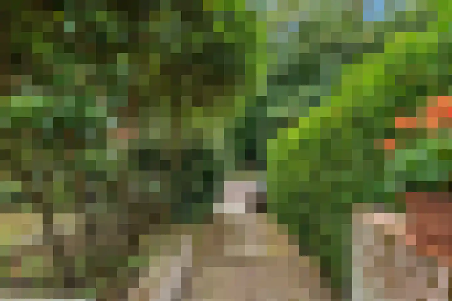 Johan Verhulstweg 54 Bloemendaal thumbnail 44