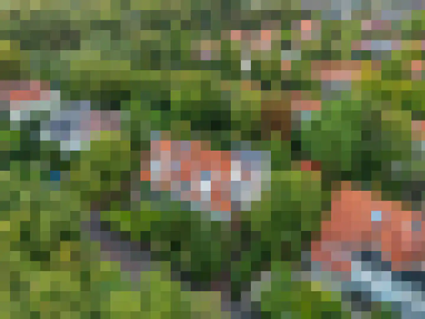 Johan Verhulstweg 54 Bloemendaal thumbnail 5