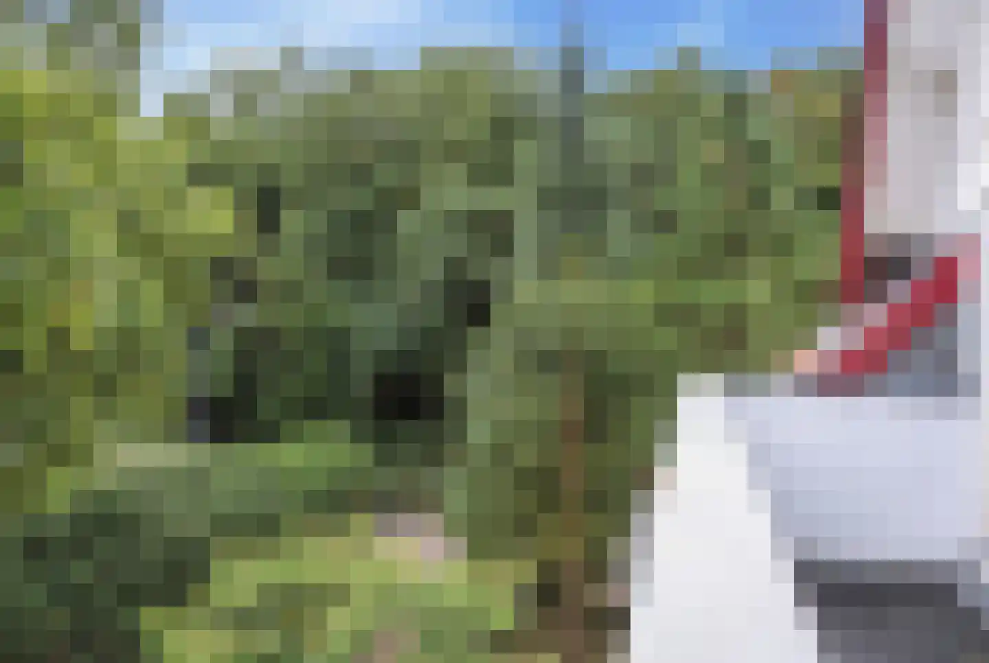 Johan Verhulstweg 54 Bloemendaal thumbnail 63