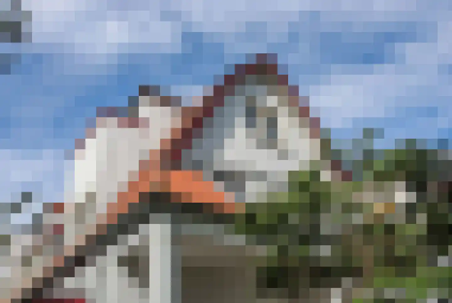 Johan Verhulstweg 54 Bloemendaal thumbnail 72