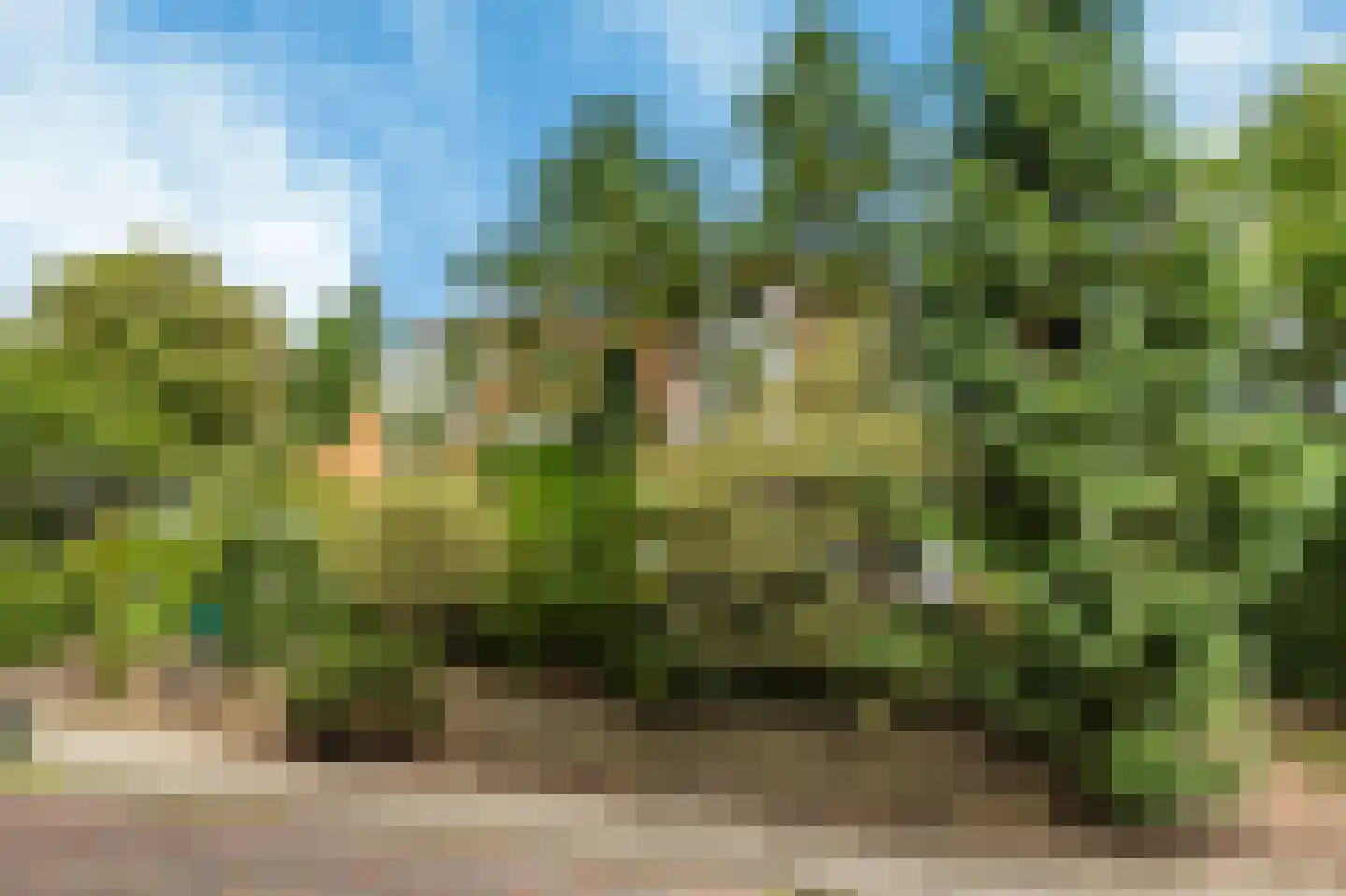 Johan Verhulstweg 54 Bloemendaal thumbnail 75