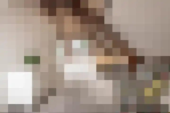 Johan Verhulstweg 69 Bloemendaal thumbnail 31