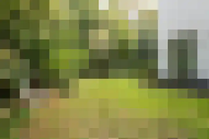 Johan Verhulstweg 69 Bloemendaal thumbnail 35