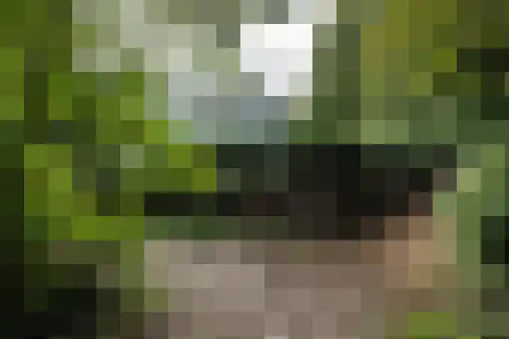Johan Verhulstweg 69 Bloemendaal thumbnail 36