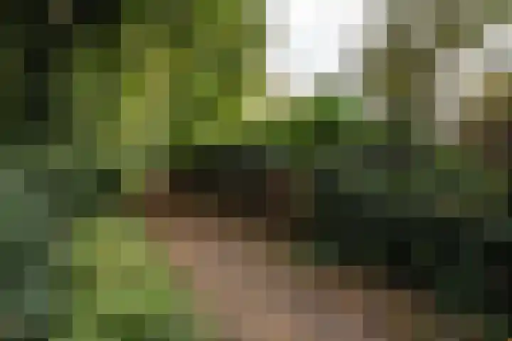 Johan Verhulstweg 69 Bloemendaal thumbnail 37