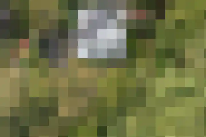 Johan Verhulstweg 69 Bloemendaal thumbnail 4