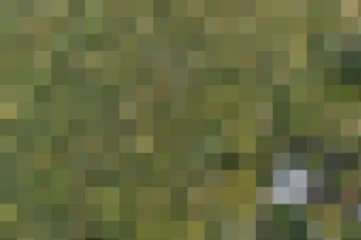 Johan Verhulstweg 69 Bloemendaal thumbnail 5