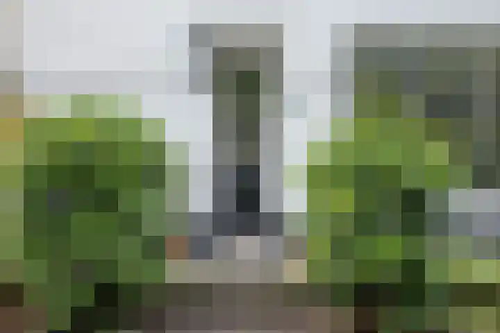Johan Verhulstweg 69 Bloemendaal thumbnail 6