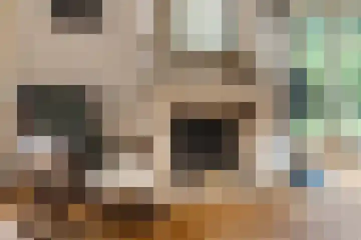 Johan Verhulstweg 69 Bloemendaal thumbnail 9