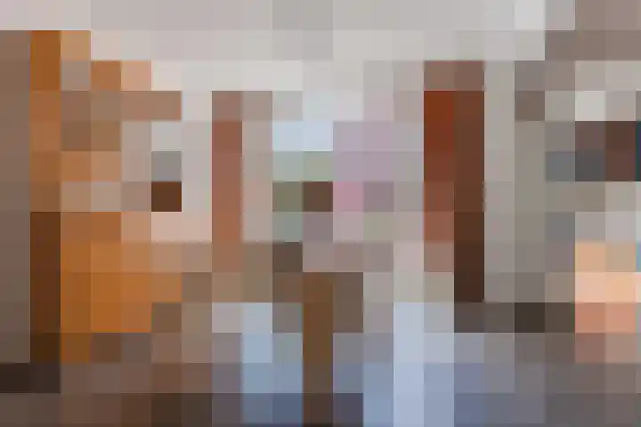 Johan Vermeerkade 11 Wormerveer thumbnail 13