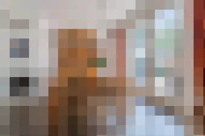 Johan Vermeerkade 11 Wormerveer thumbnail 14