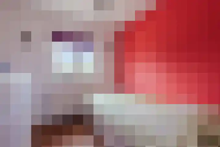 Johan Vermeerkade 11 Wormerveer thumbnail 28