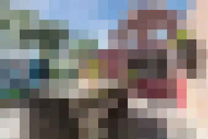 Johan Vermeerkade 11 Wormerveer thumbnail 41