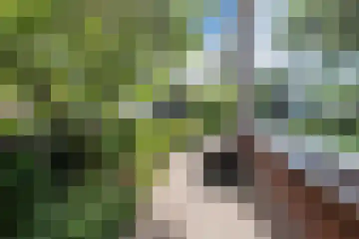 Johan Vermeerkade 11 Wormerveer thumbnail 44