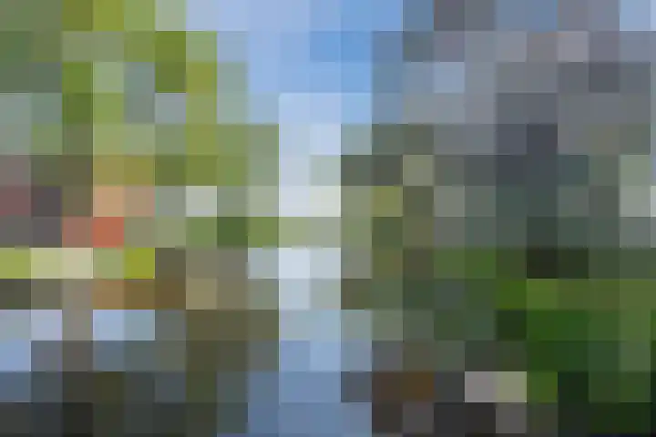 Johan Vermeerkade 11 Wormerveer thumbnail 46