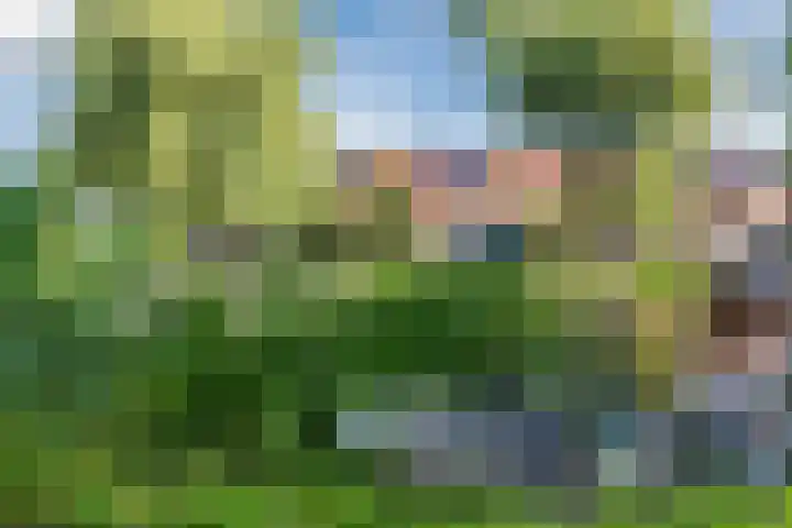 Johan Vermeerkade 11 Wormerveer thumbnail 47