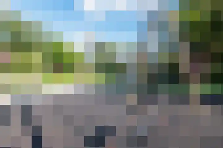 Johan Vermeerkade 11 Wormerveer thumbnail 49