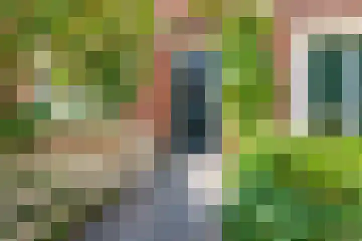 Johan Vermeerkade 11 Wormerveer thumbnail 7