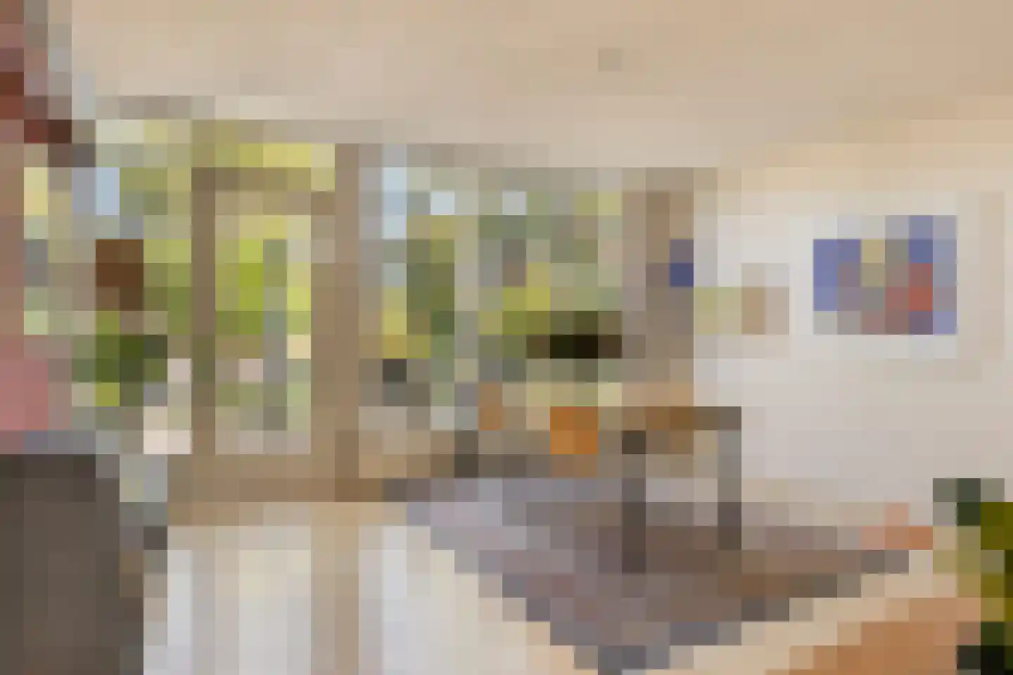Johan Vermeerstraat 24 Heerhugowaard thumbnail 13