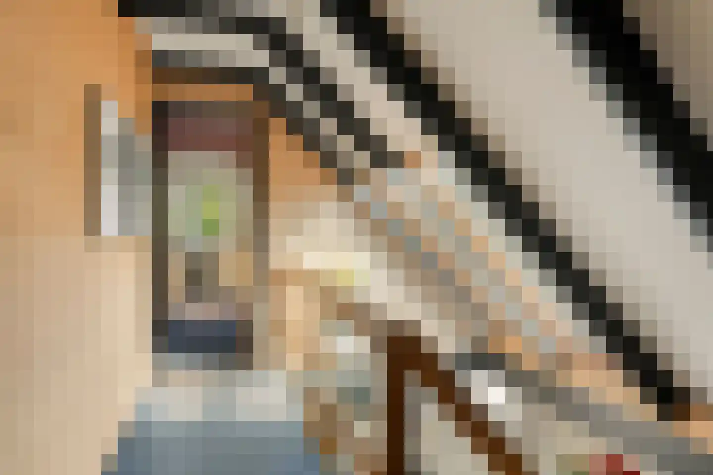 Johan Vermeerstraat 24 Heerhugowaard thumbnail 30