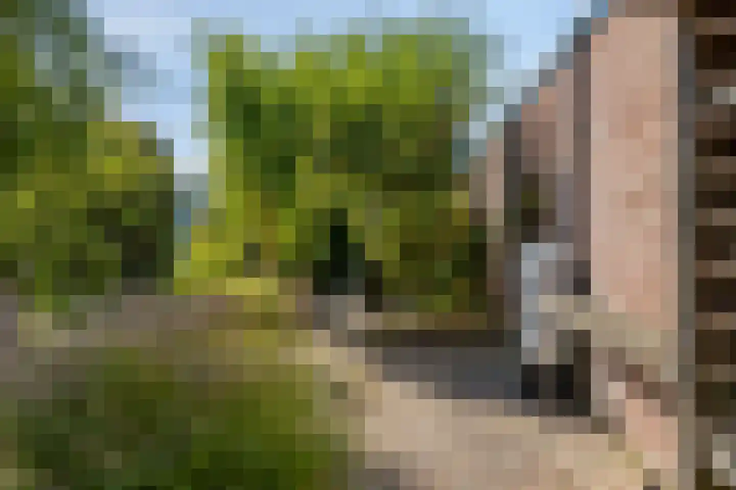 Johan Vermeerstraat 24 Heerhugowaard thumbnail 41