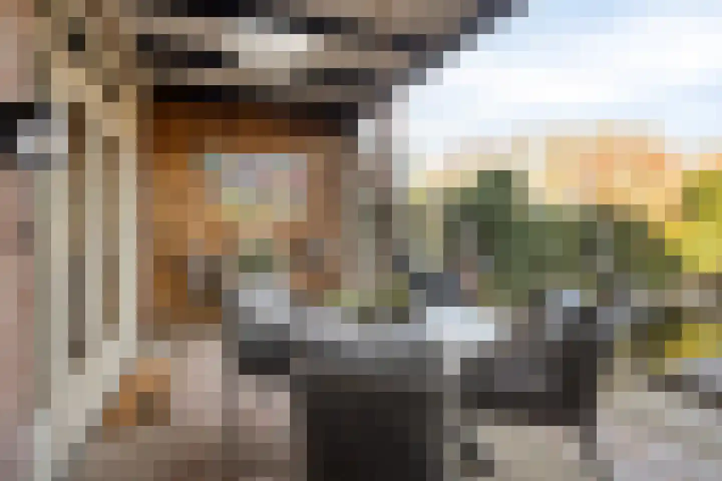 Johan Vermeerstraat 28 Lisse thumbnail 21