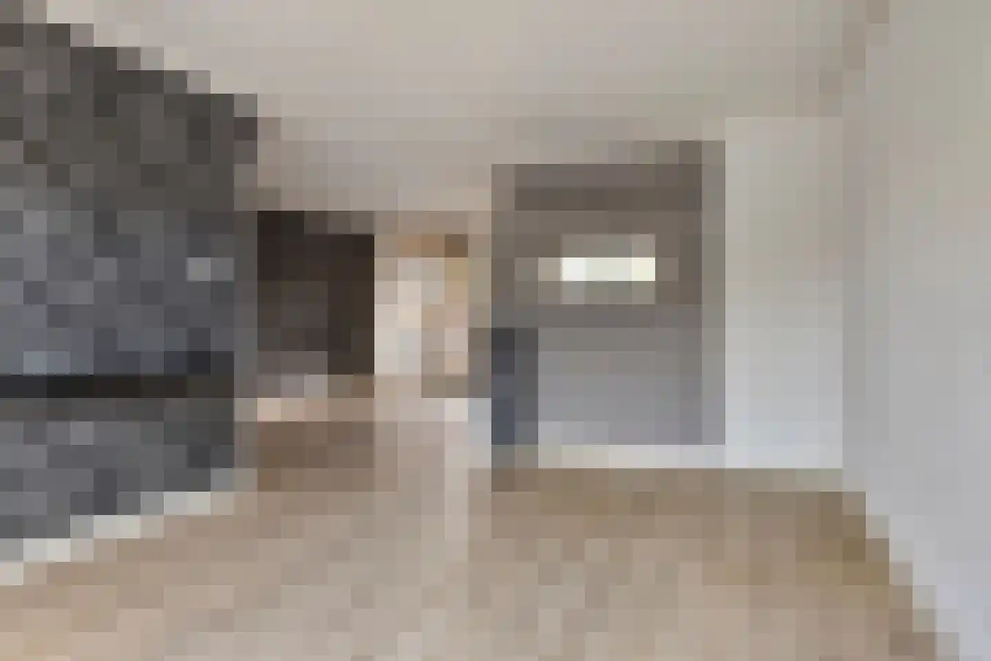Johan Vermeerstraat 28 Lisse thumbnail 5
