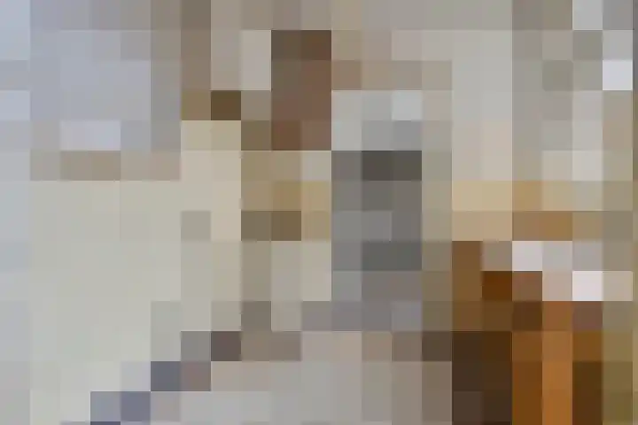 Johan Vestersstraat 27 Eindhoven thumbnail 13